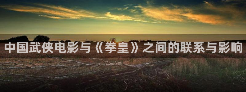 羞羞漫画网站进入：中国武侠电影与《拳皇》之间的联系与影响