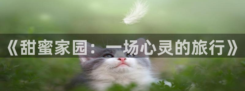 成年人羞羞漫画在线观看：《甜蜜家园：一场心灵的旅行》