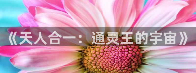 啊别舔了羞羞漫画：《天人合一：通灵王的宇宙》