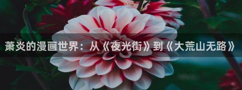 羞羞漫画免费阅读下拉式：萧炎的漫画世界：从《夜光街》到《大荒山无路》